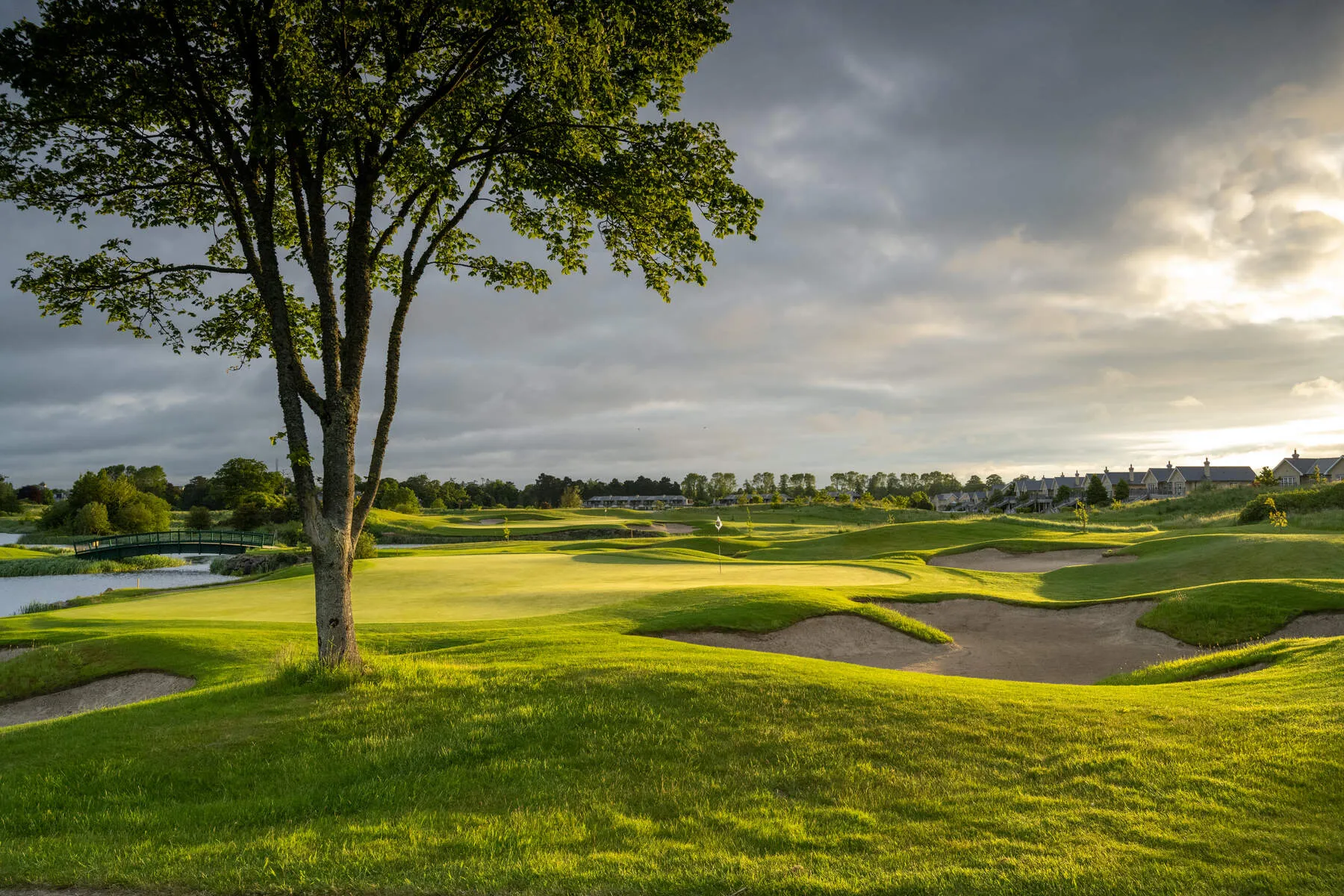 Golf Tours a golf course with a tree and a cloudy sky