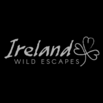 Projekt bez nazwy - 2025-11-19T202431.061